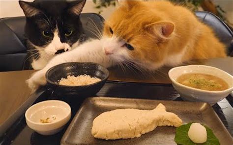 junskitchen divorce|JunsKitchen .